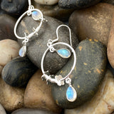 Rainbow Moonstone Earring 144 - Silver Street Jewellers