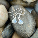 Rainbow Moonstone Earring 151 - Silver Street Jewellers